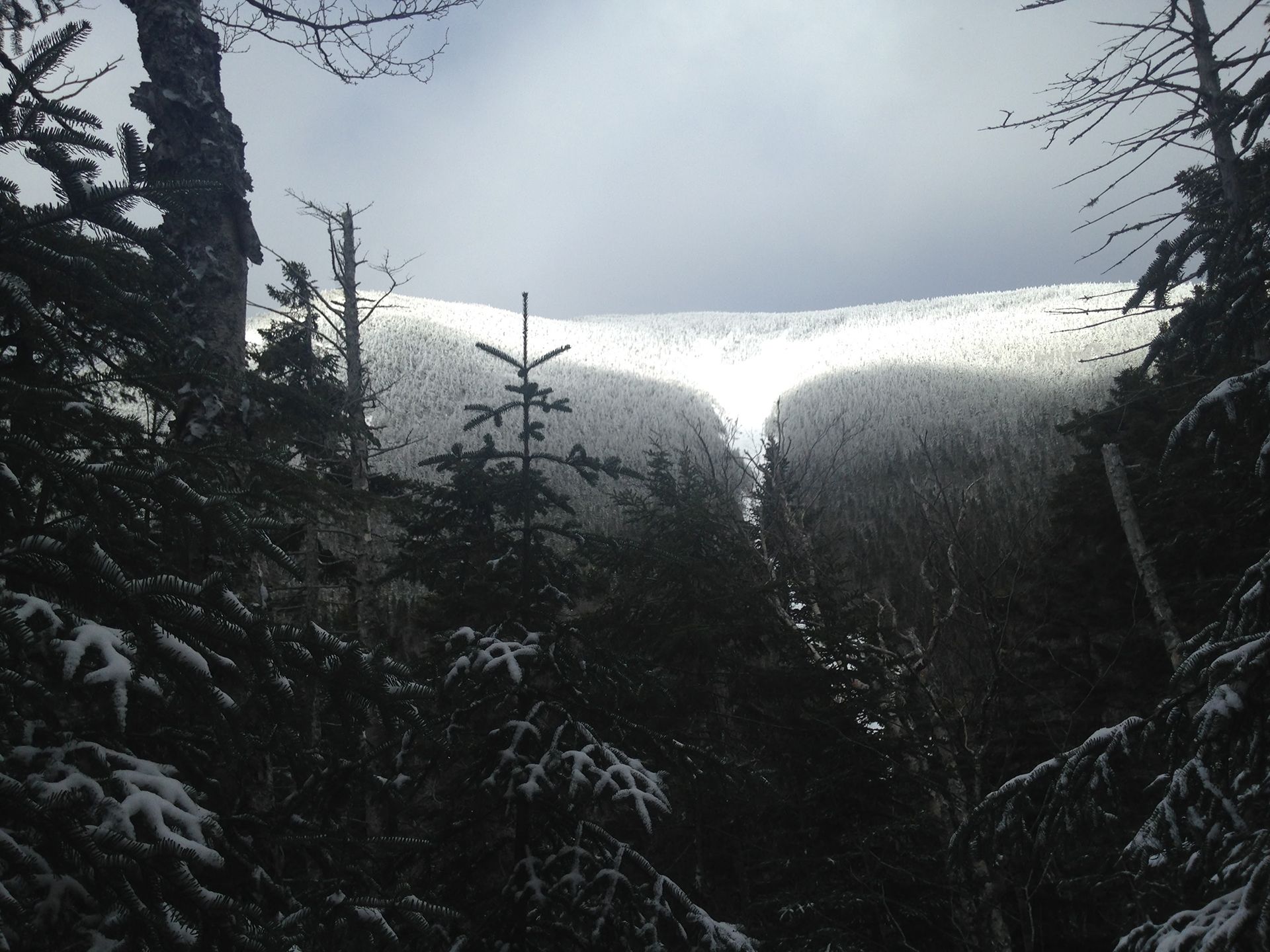 Hiking photo from 2017-01-28